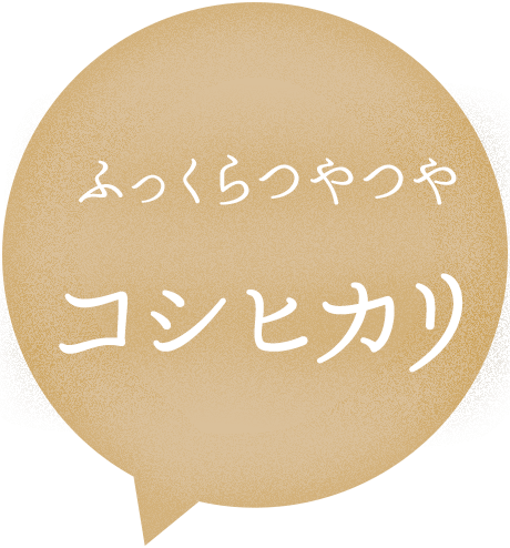 ふっくらつやつやコシヒカリ